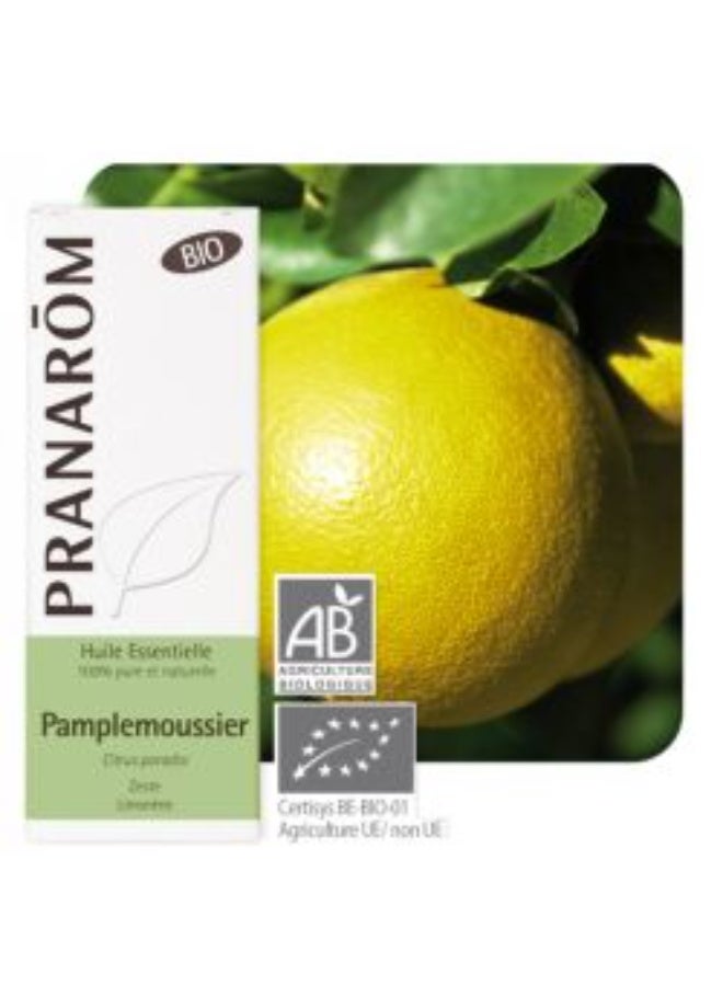 PRANAROM Pranarôm Bio Essential Oil Grapefruit Tree (Citrus paradisi) 10 ml - Image 2